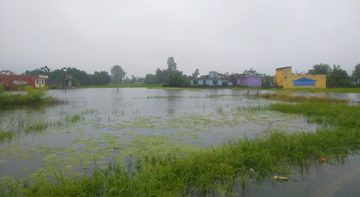 दुई दिनदेखिको अविरल वर्षापछि धनगढी जलमग्न (तस्वीरहरू)